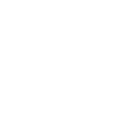 Fast Delivery
